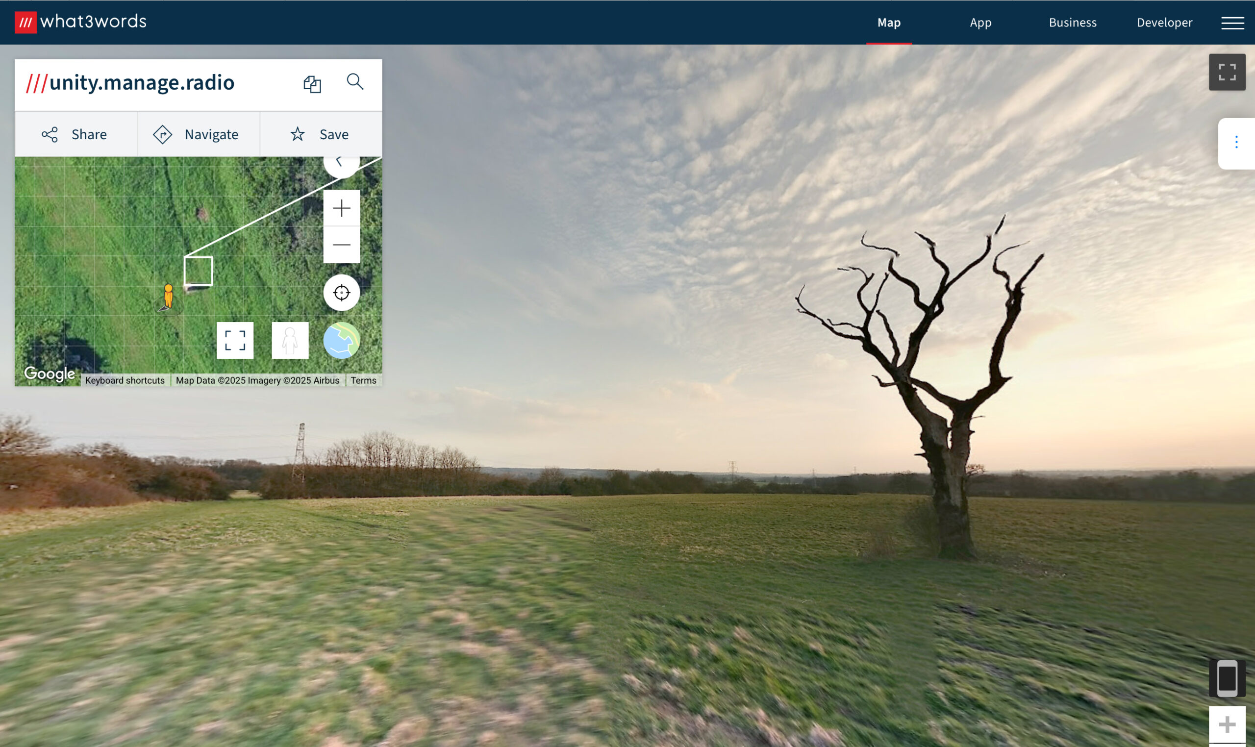 Lightning tree